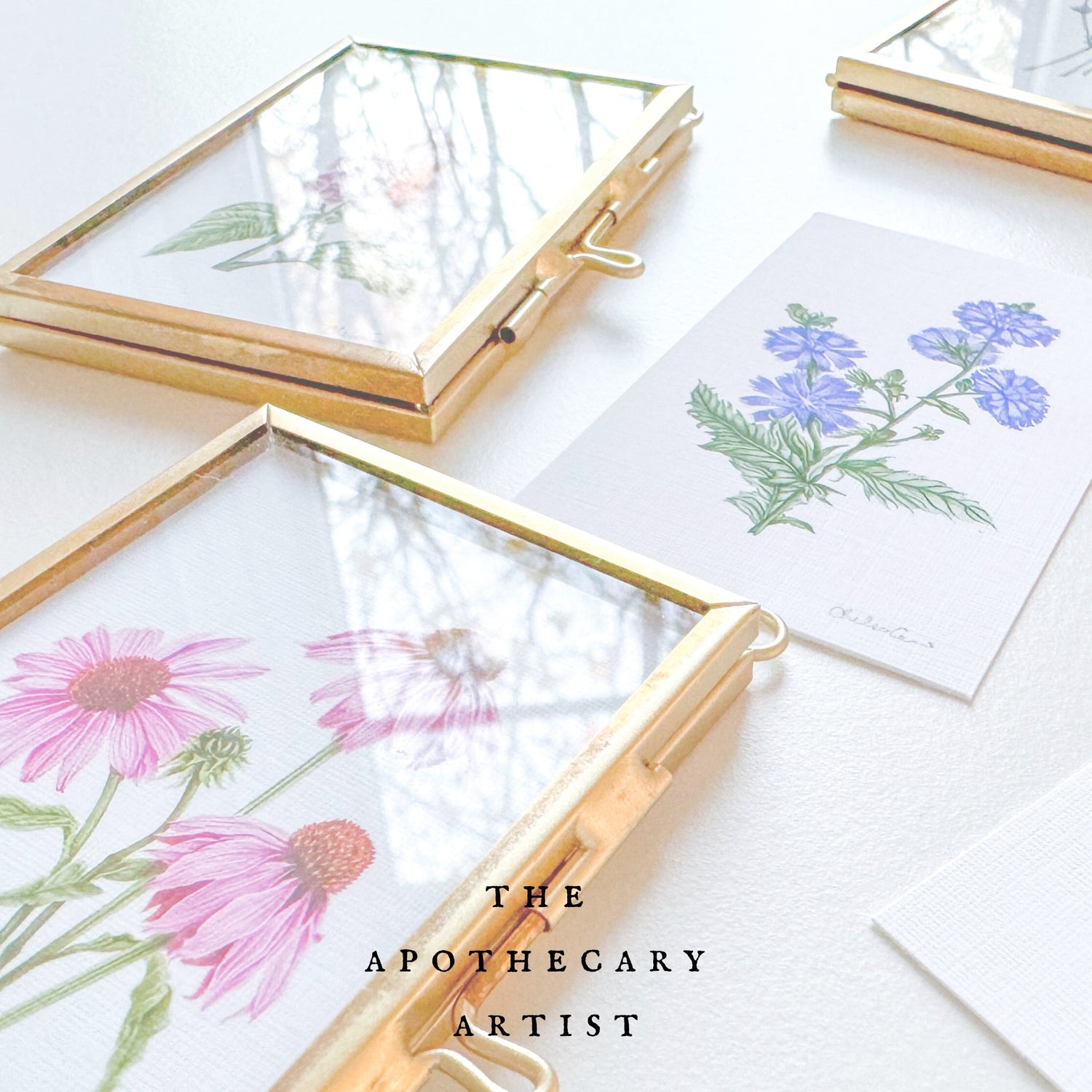 Mini botanical art prints of medicinal plants, showcasing intricate hand-drawn details and vintage-inspired designs, ideal for home decor or gifts