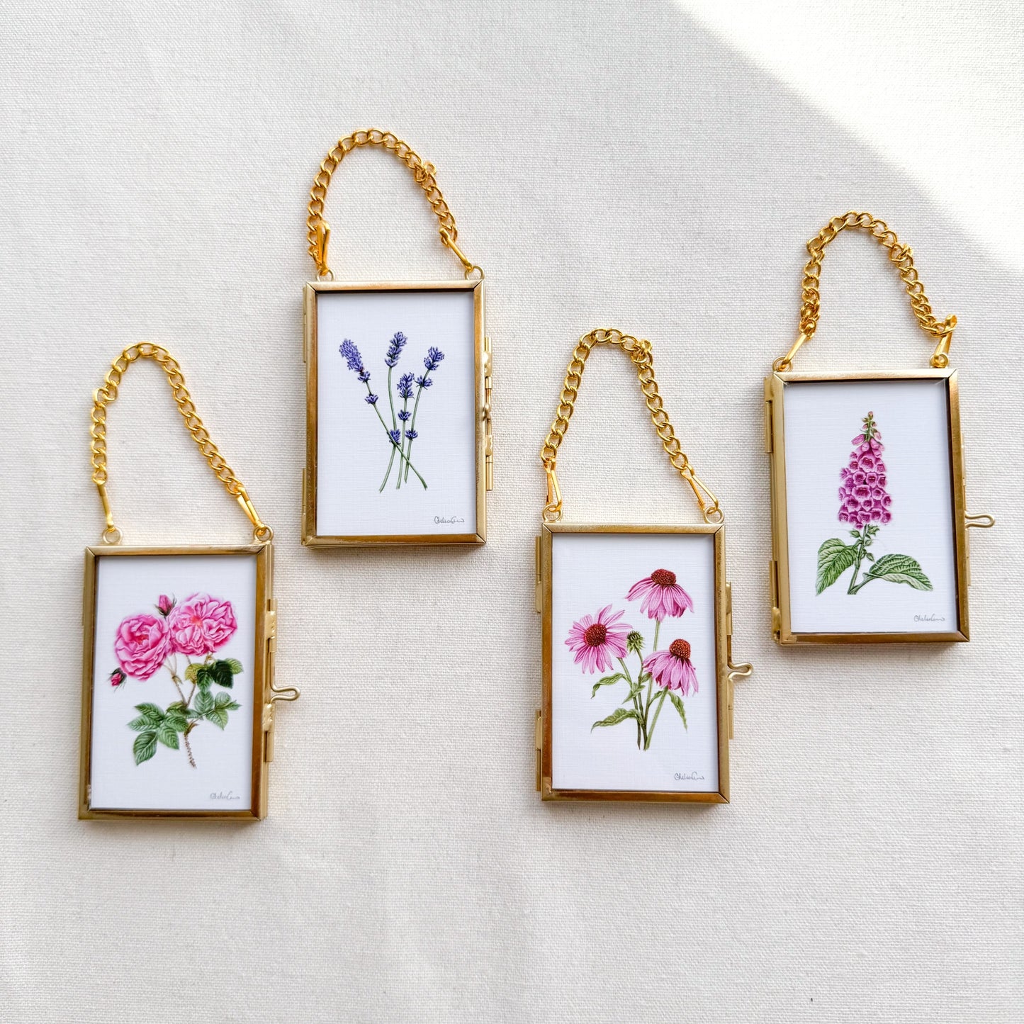 Purple Coneflower Botanical Illustration Glass Frame Ornament