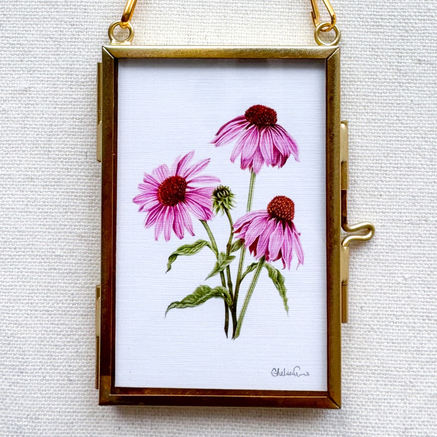 Purple Coneflower Botanical Illustration Glass Frame Ornament