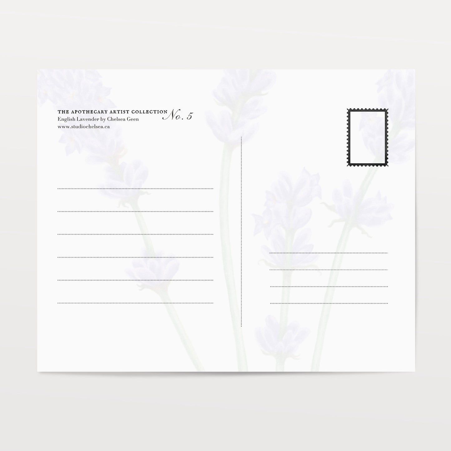 Lavender Postcard