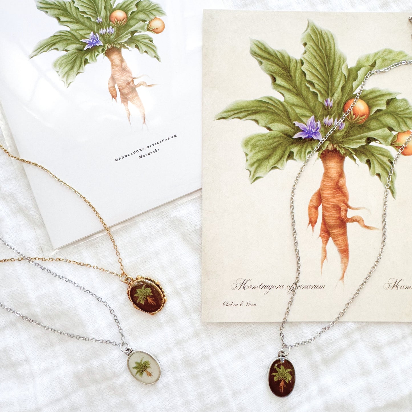 Mandrake Greeting Card