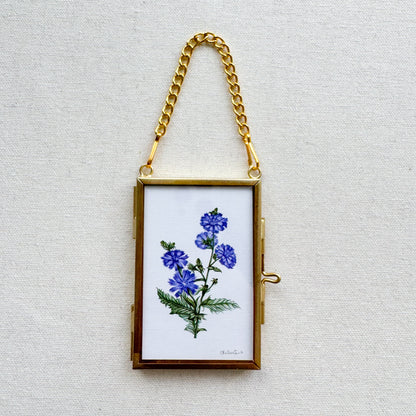 Chicory Botanical Illustration Glass Frame Ornament