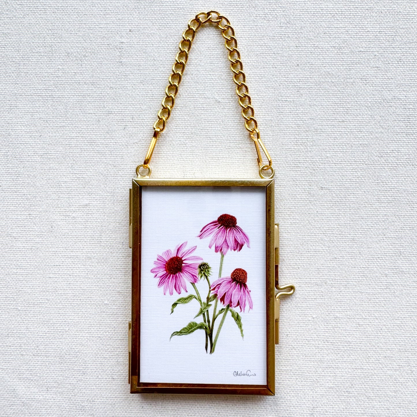 Purple Coneflower Botanical Illustration Glass Frame Ornament