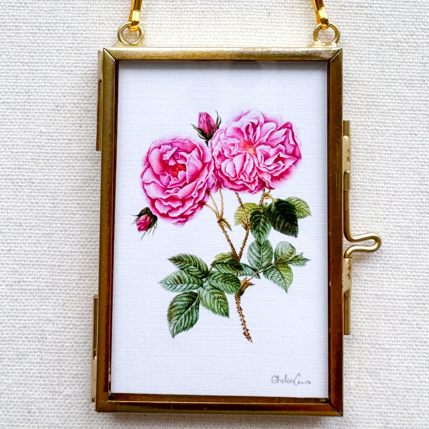 Rose Botanical Illustration Glass Frame Ornament