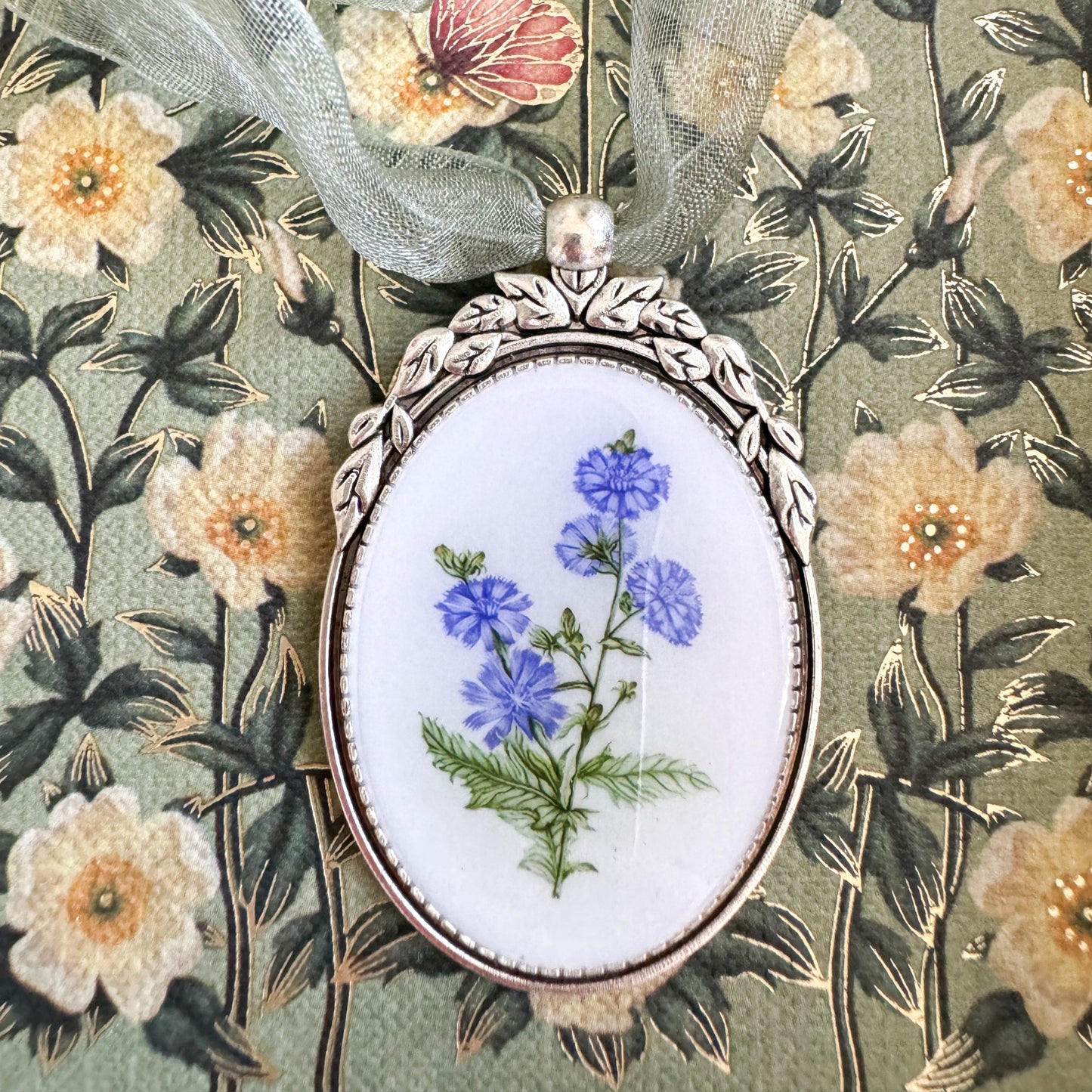 Chicory Botanical Illustration Oval Frame Ornament