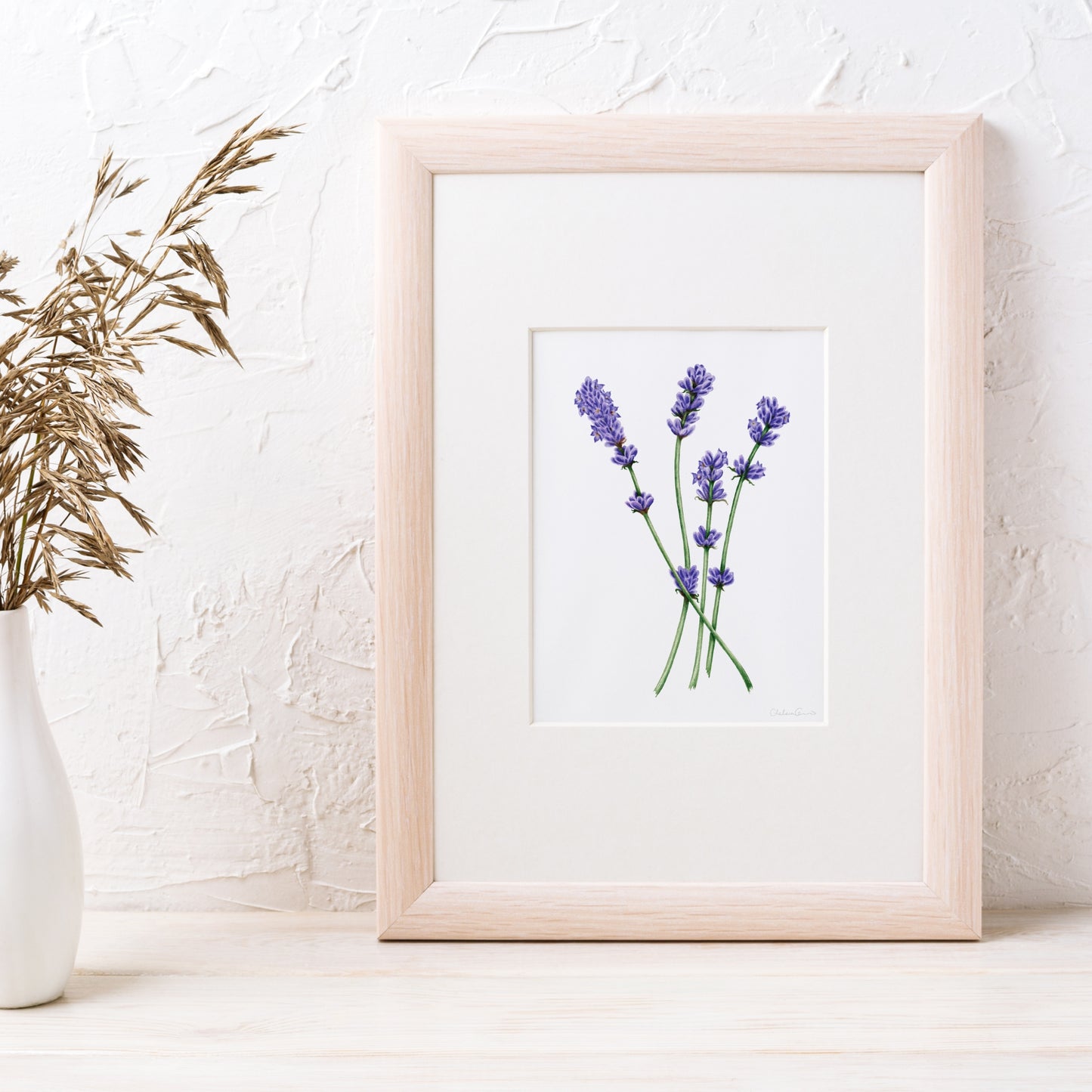 Lavender Botanical Illustration No. 5 | Fine Art Print