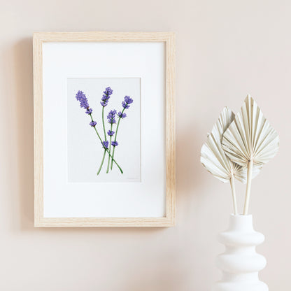 Lavender Botanical Illustration No. 5 | Fine Art Print