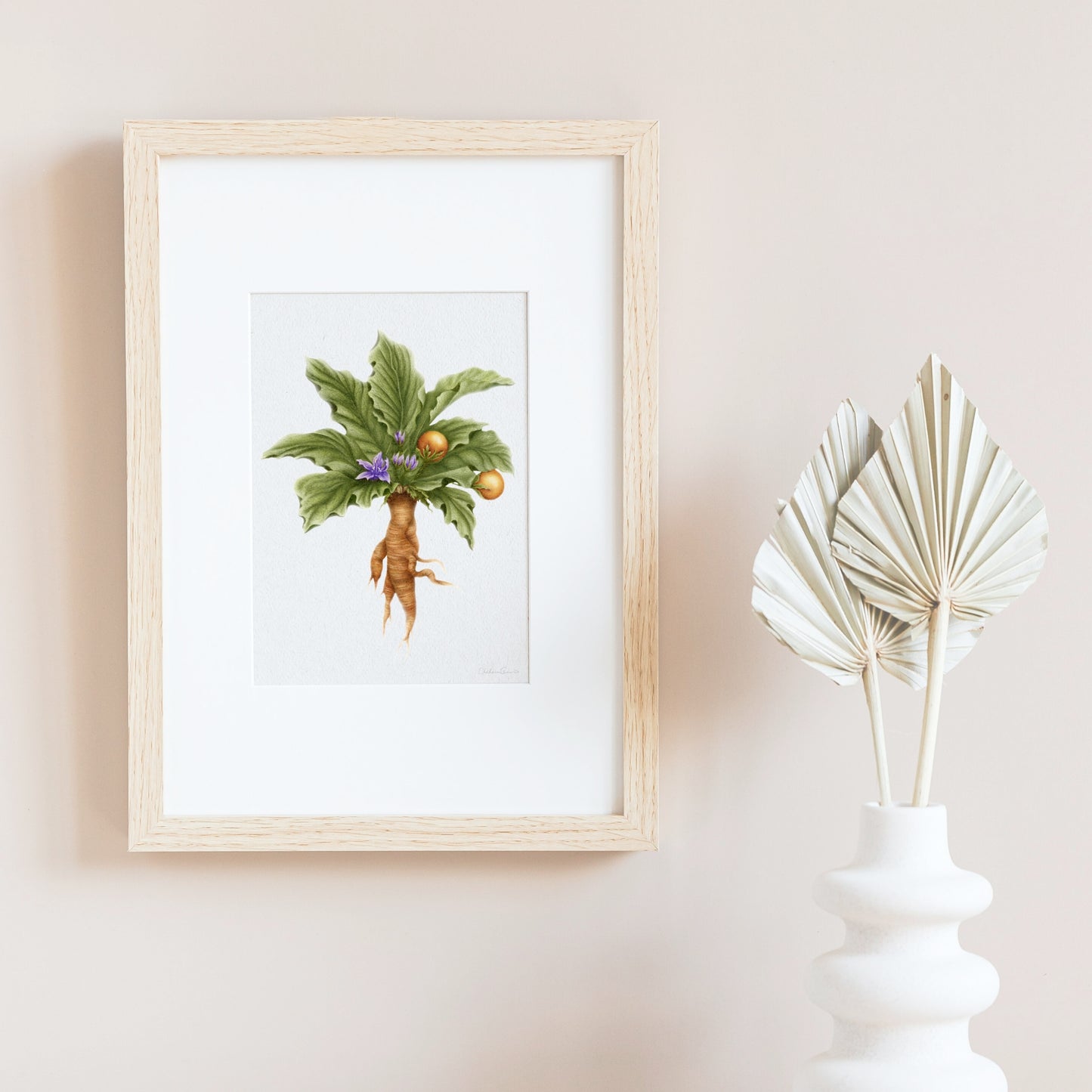 Mandrake Botanical Illustration No. 8 | Fine Art Print