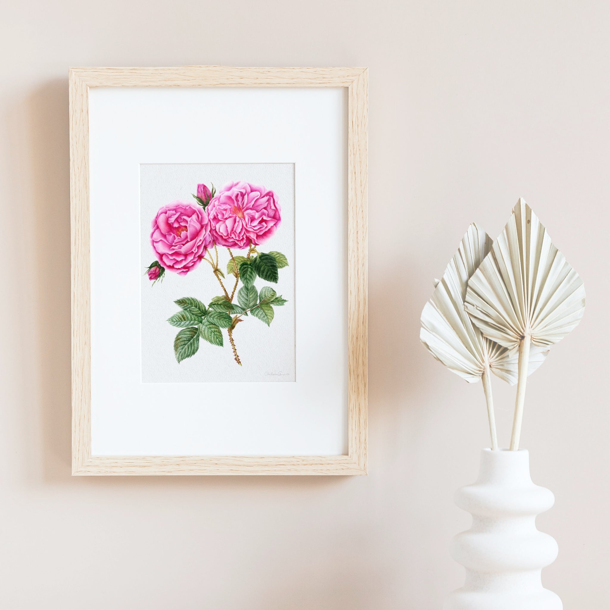 Rose Botanical Illustration No. 1 | Fine Art Print – Studio Chelsea