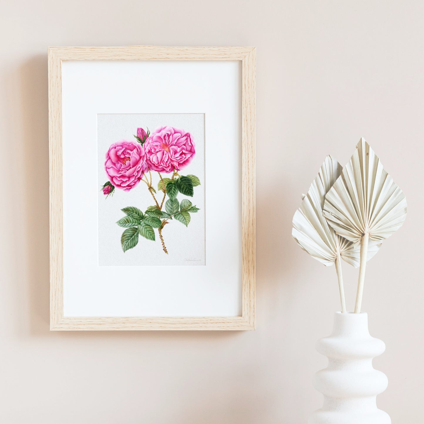 Rose Botanical Illustration No. 1 | Fine Art Print
