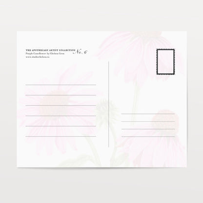 Purple Coneflower Postcard