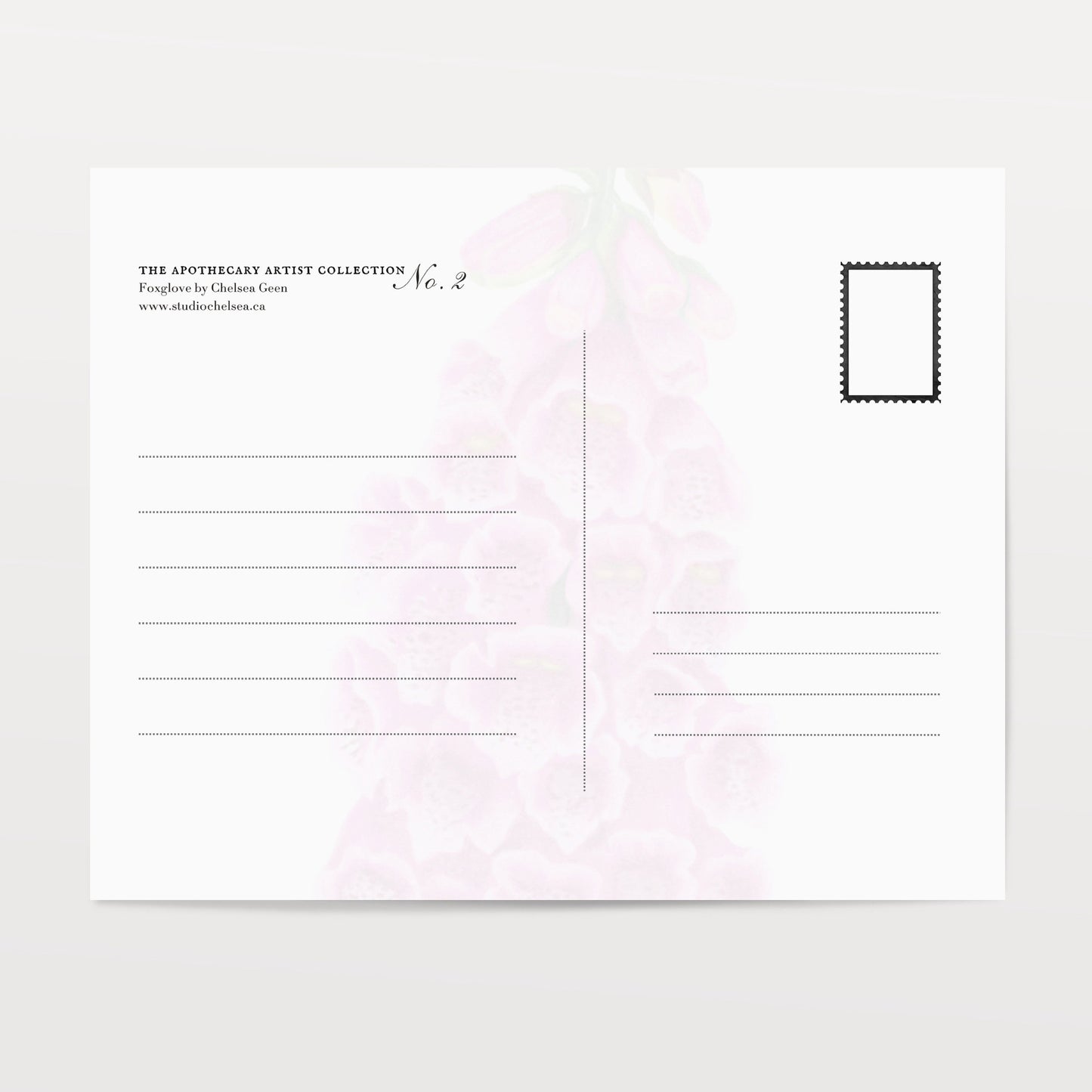 Foxglove Postcard