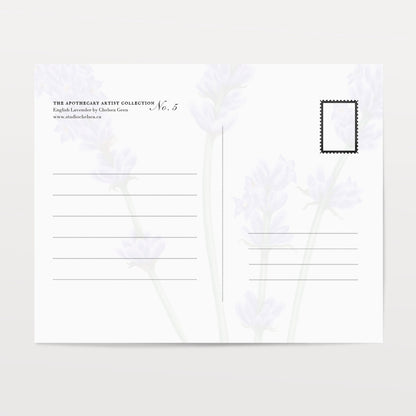 Lavender Postcard