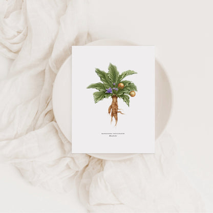 Mandrake Greeting Card