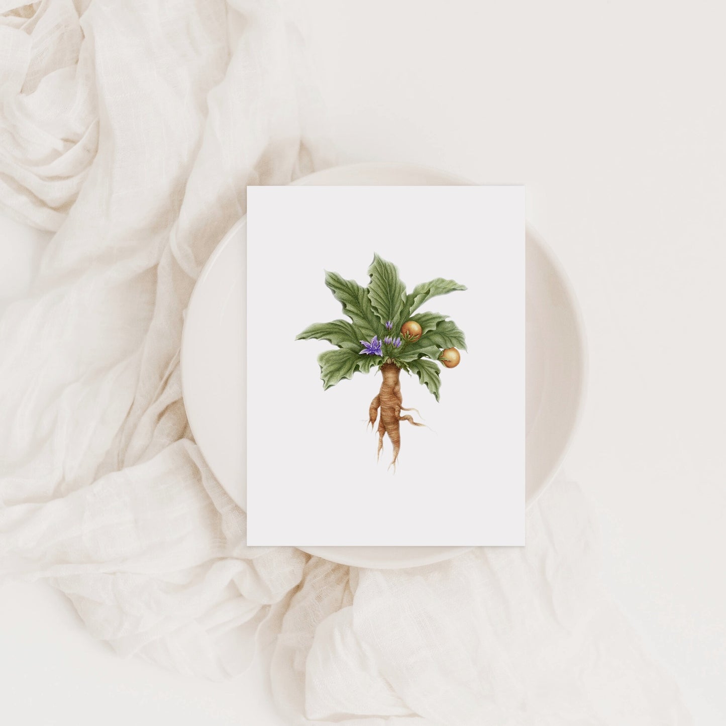 Mandrake Greeting Card