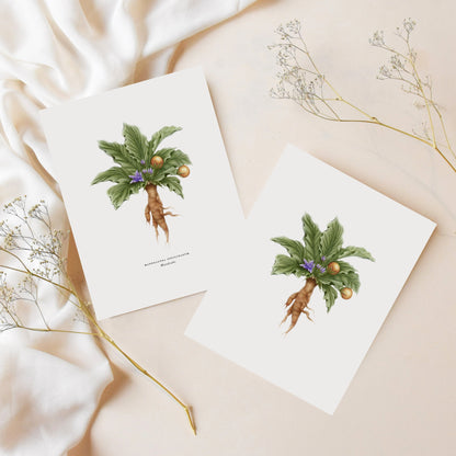 Mandrake Greeting Card