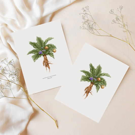 Mandrake Greeting Card