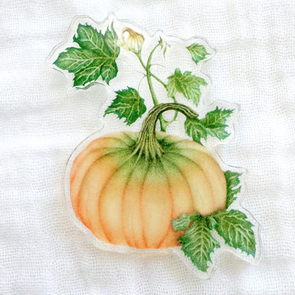 Pumpkin Magnet