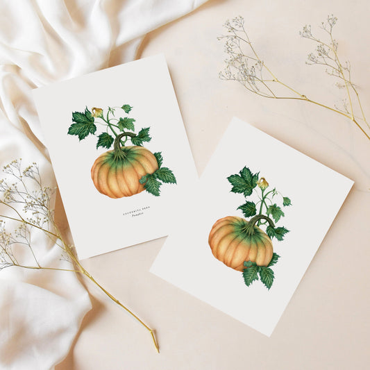 Pumpkin Greeting Card