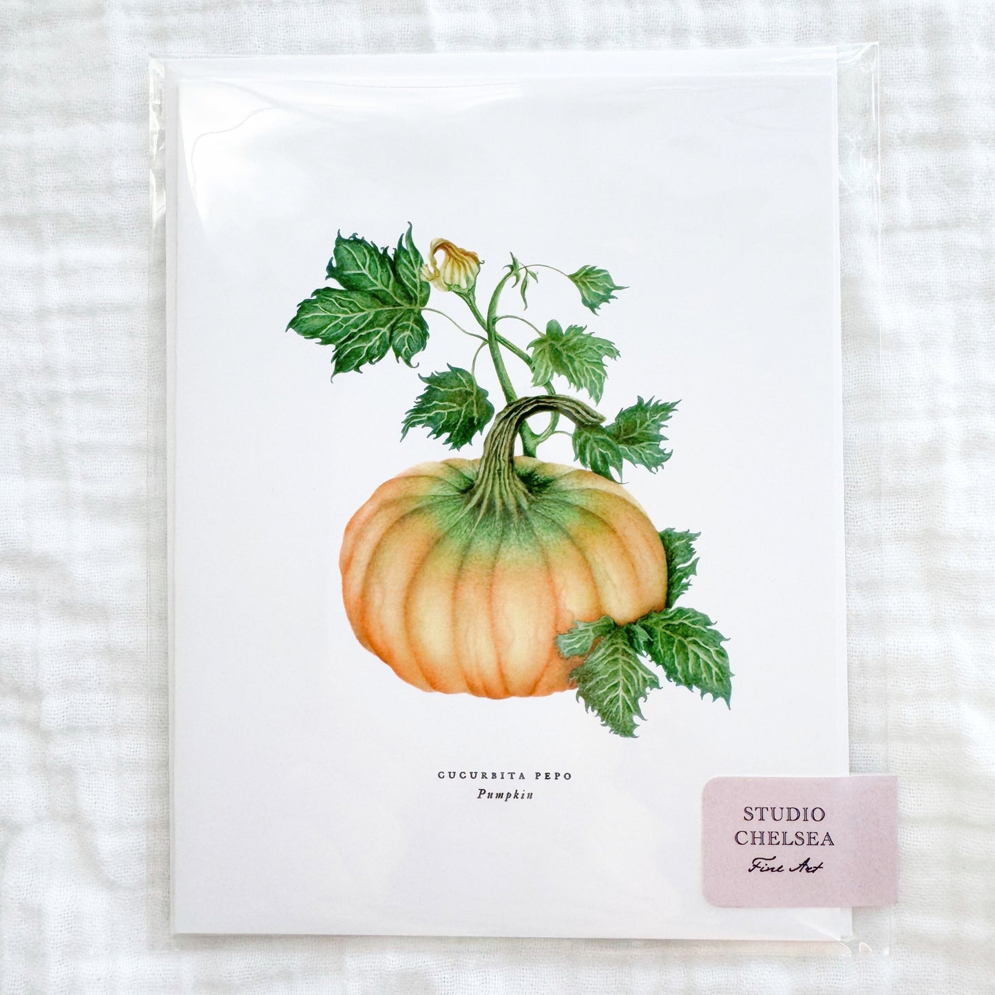 Pumpkin Greeting Card