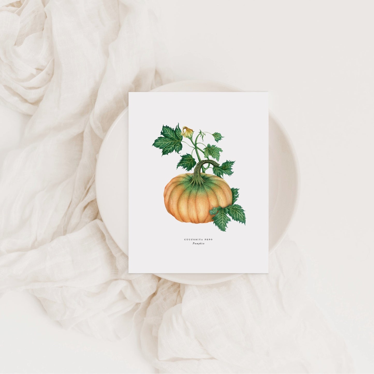 Pumpkin Greeting Card
