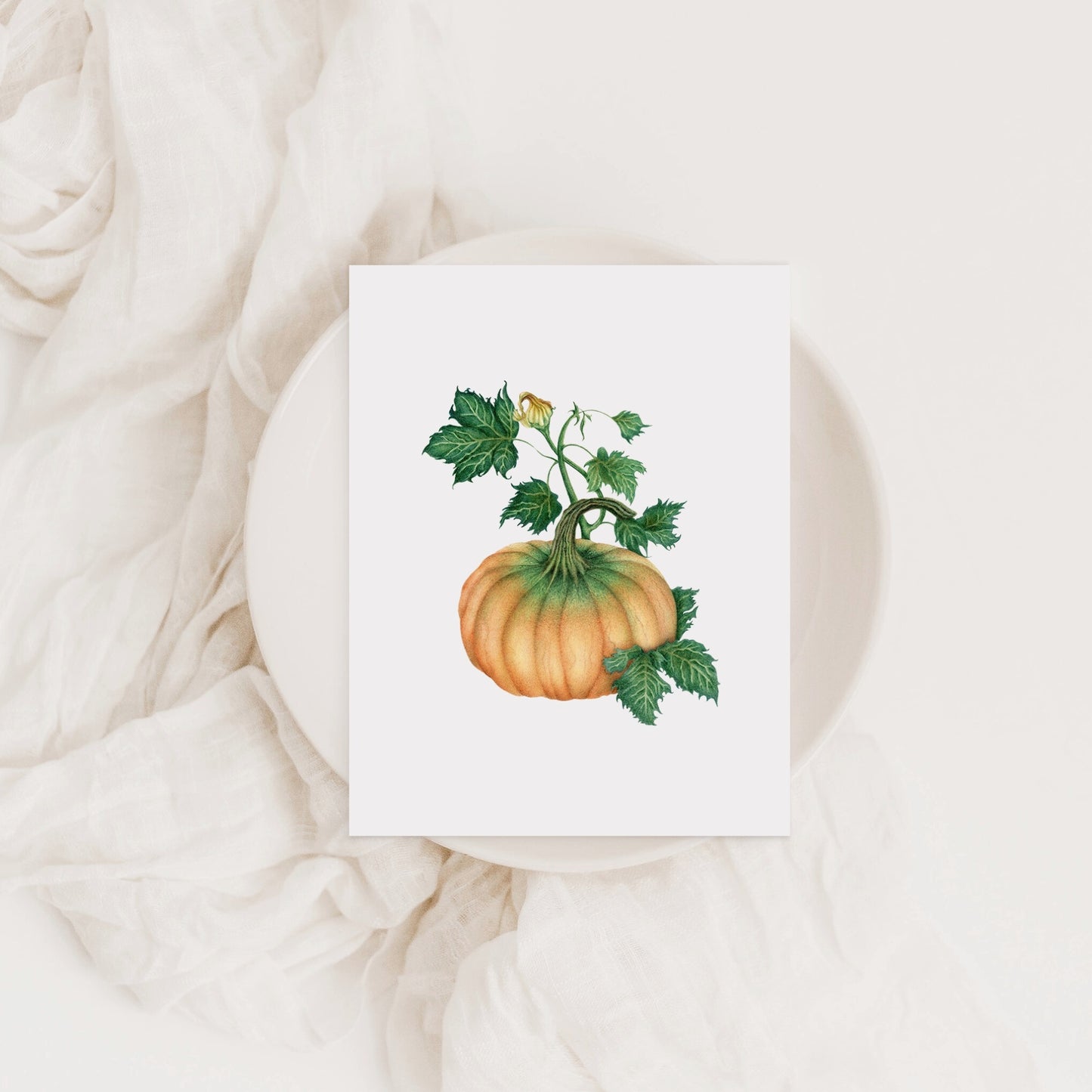 Pumpkin Greeting Card