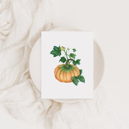 Pumpkin Greeting Card