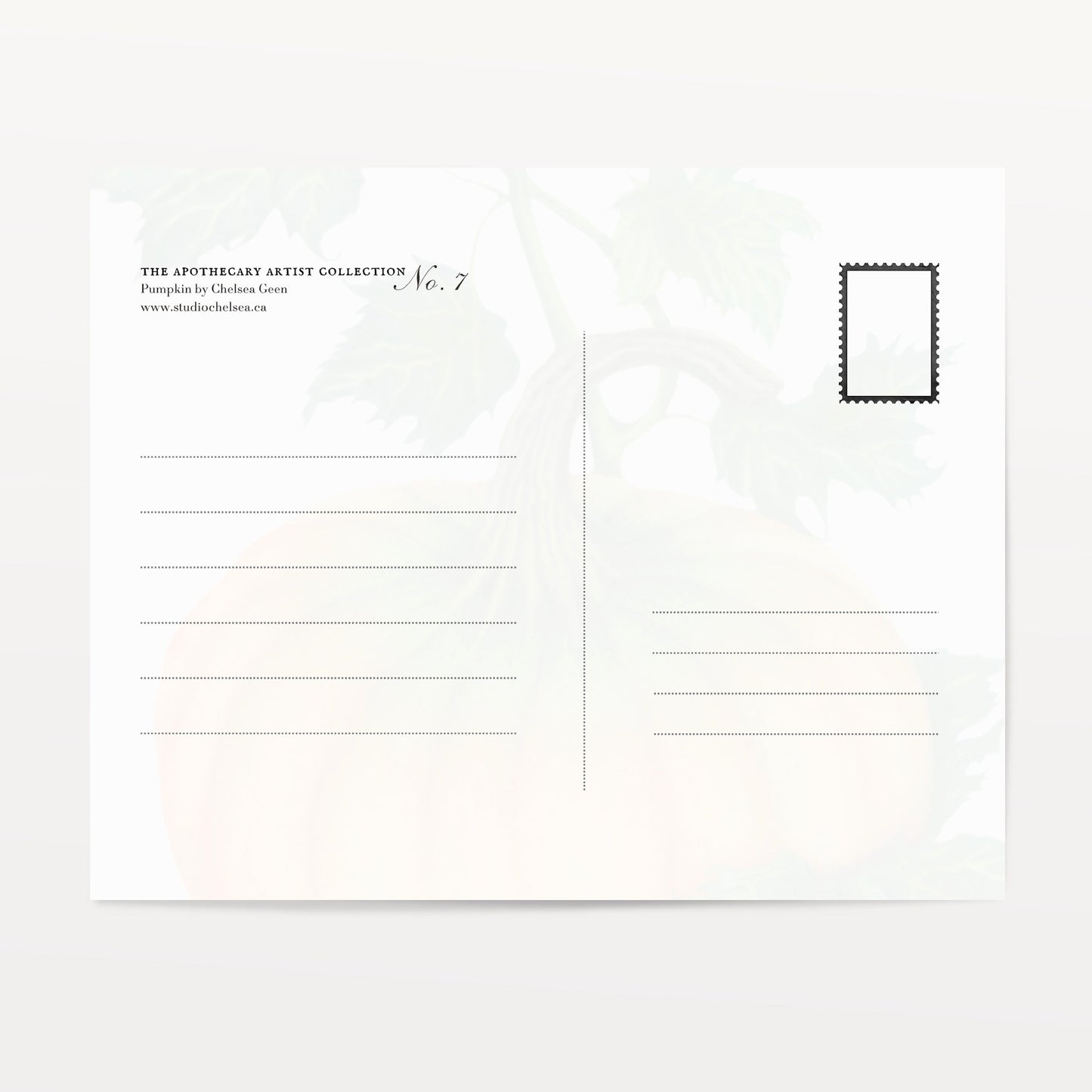 Pumpkin Postcard