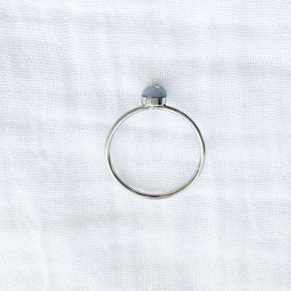 Raechelle Pressed Flower Ring | Silver